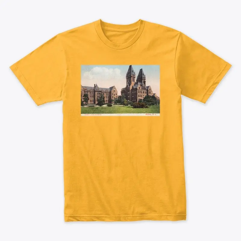 Vintage Buffalo Postcard Tee